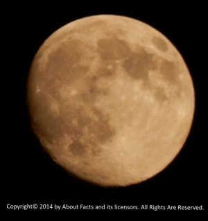 Moon